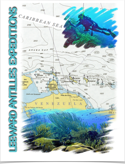 Exploring the southern Caribbean's Leeward Antilles - aka the ABC islands.